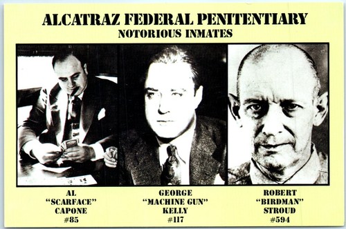 Cartolina alcatraz - -,